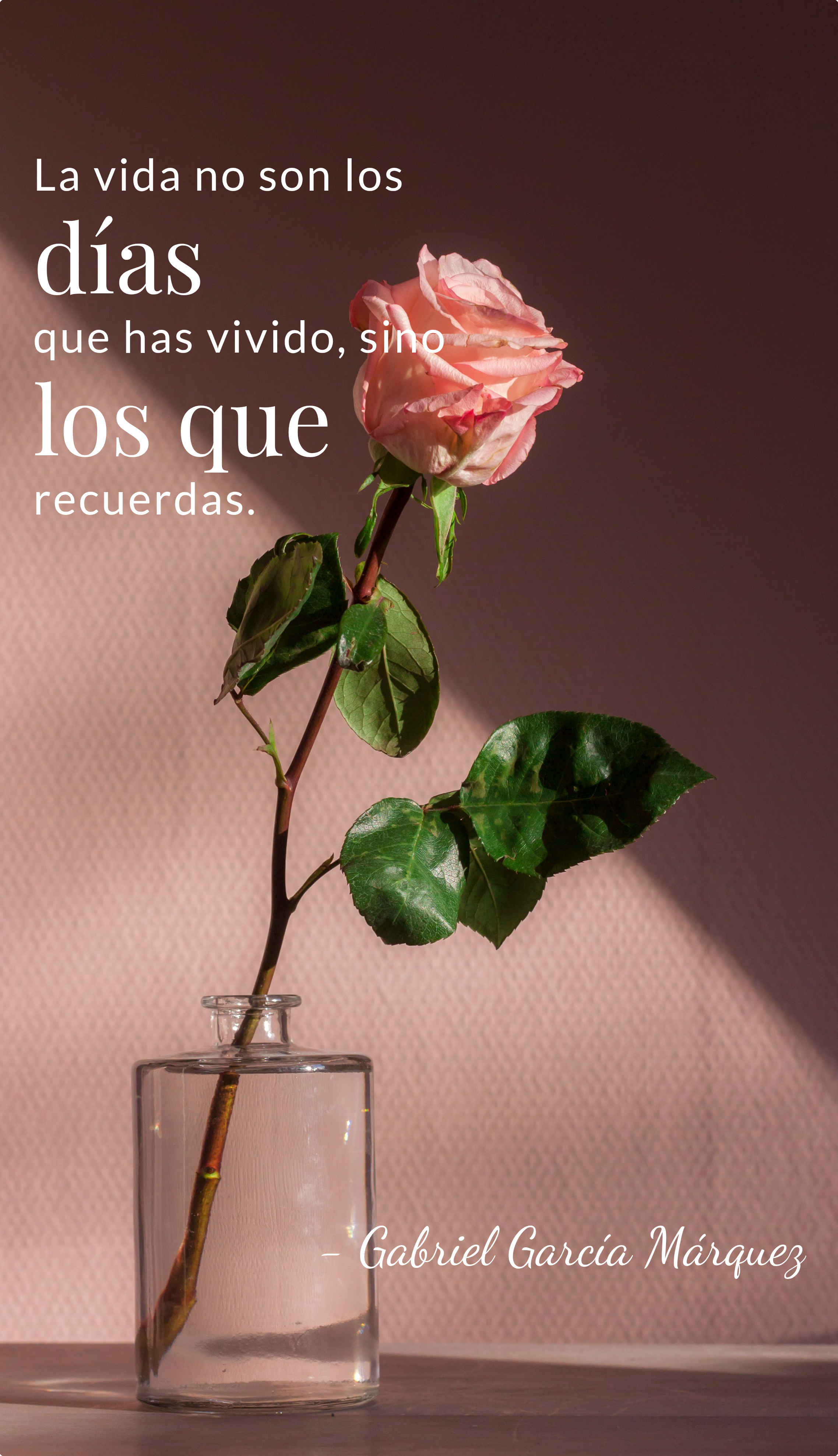 Lifestyle 9:16 Vertical Daily Quote Poster