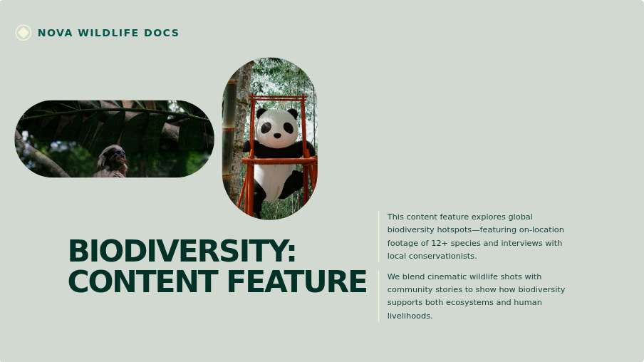 Project Present Page 04