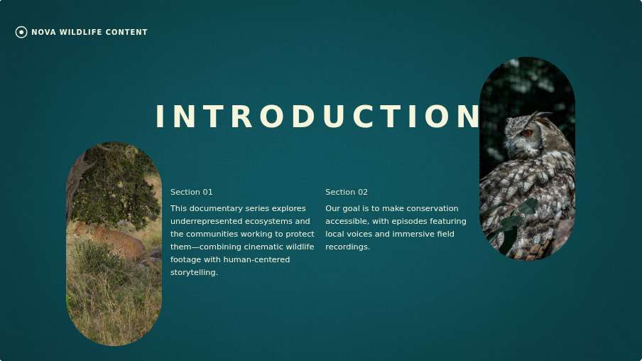 Project Present Page 02